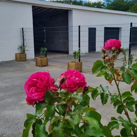 Domaine De Fringshaus Daire