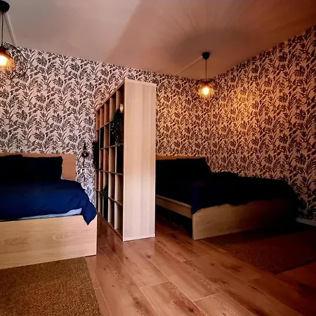 Lägenhet Domaine De Fringshaus *